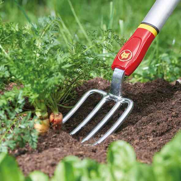 outils de jardinage
