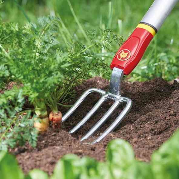outils de jardinage
