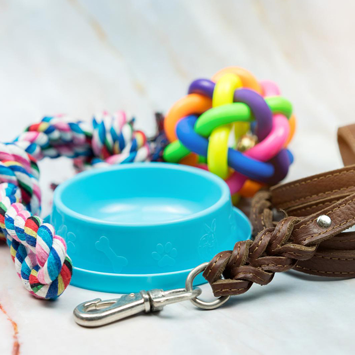 Accessoires Animalerie
