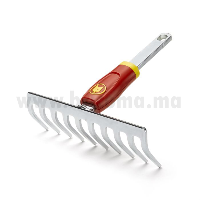 RATEAU DSM19 PETIT A 10 DENTS