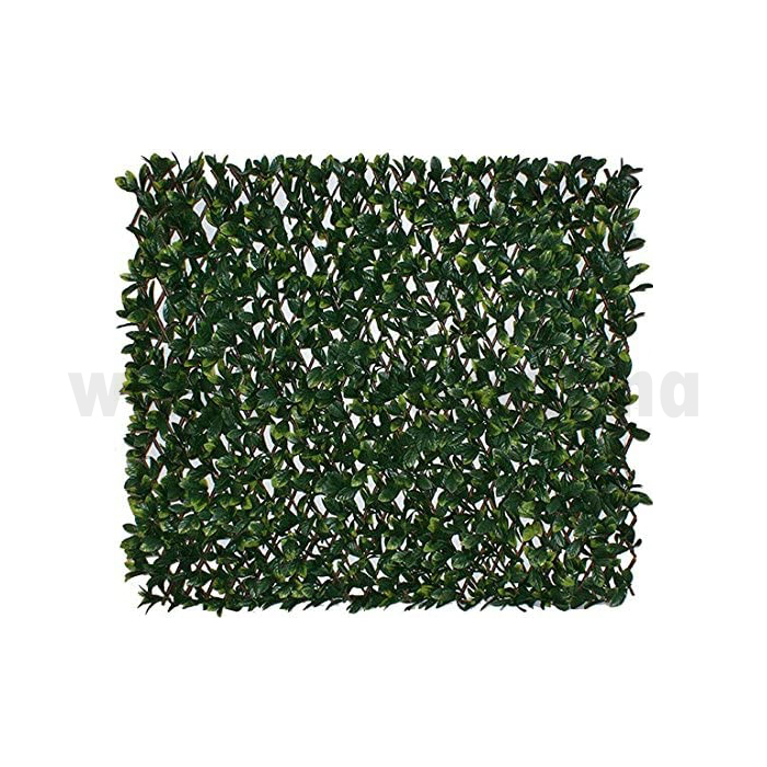 TREILLIS EXTENSIBLE FEUILLES DE IVY 1X2M