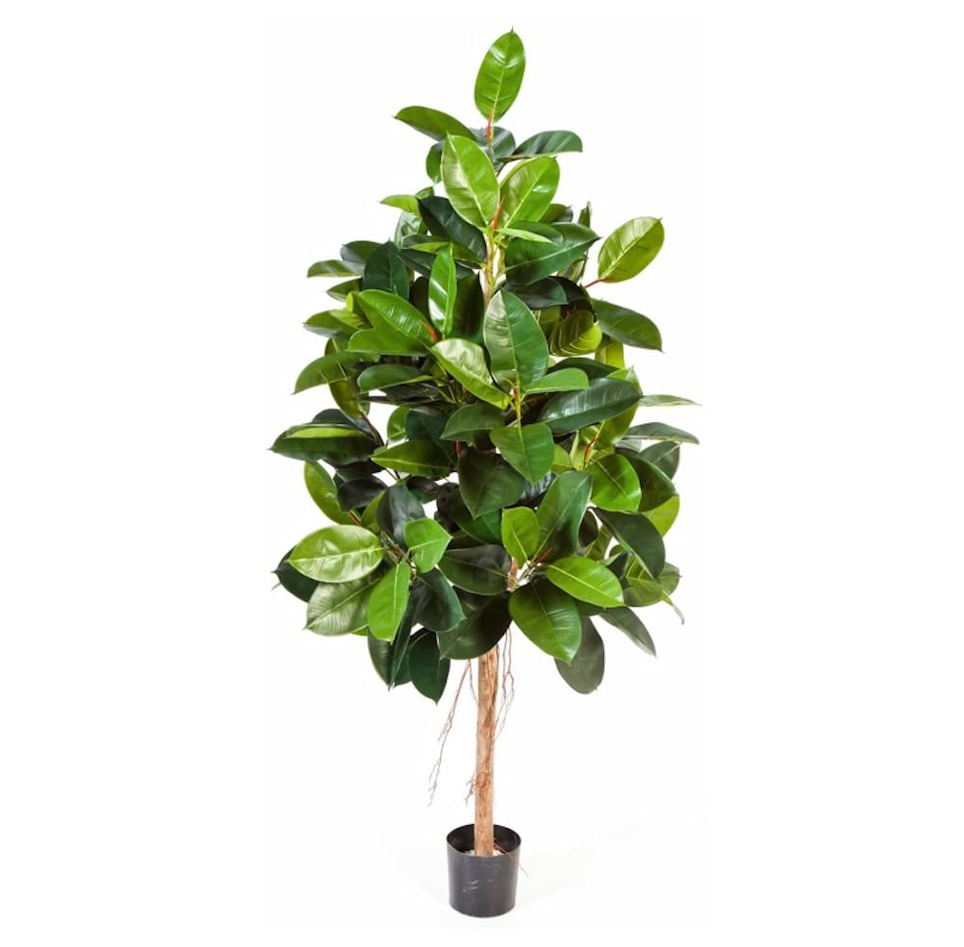 PLANTE ARTIFICIELLE FICUS ELASTICA