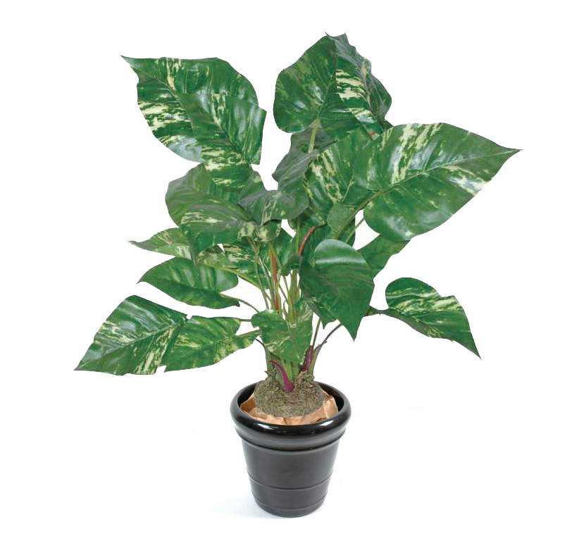 PLANTE ARTIFICIELLE POTHOS