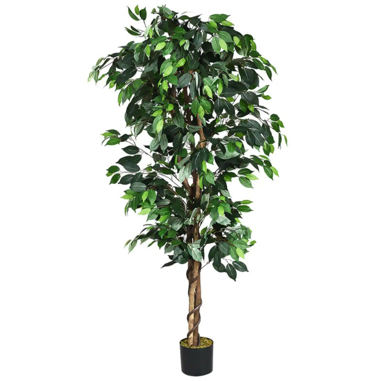 PLANTE ARTIFICIELLE FICUS WOOD TRUNK