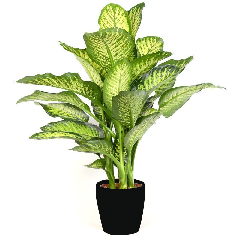 PLANTE ARTIFICIELLE FICUS PANACHE ELASTICA
