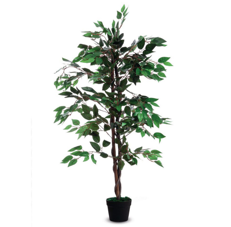 PLANTE ARTIFICIELLE FICUS