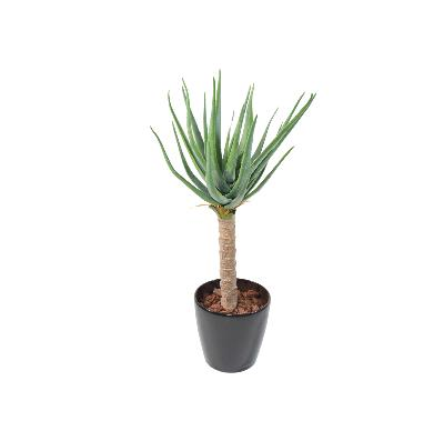 PLANTE ARTIFICIELLE PANDANUS