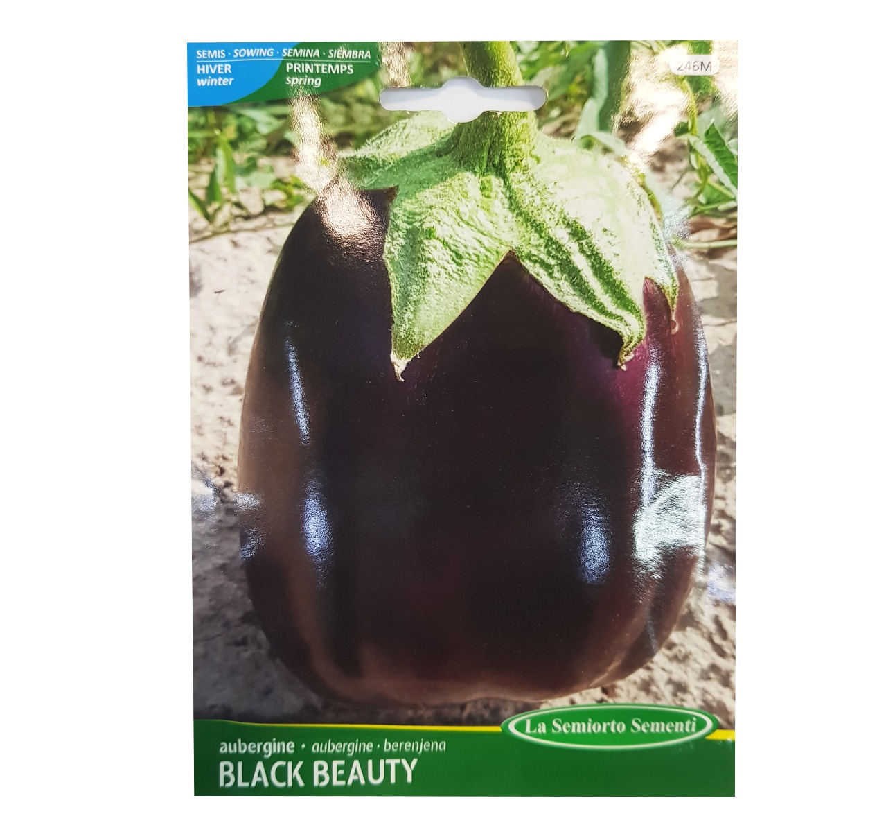 AUBERGINE BLACK BEAUTY  SACHET DE 4 GR  ART 246