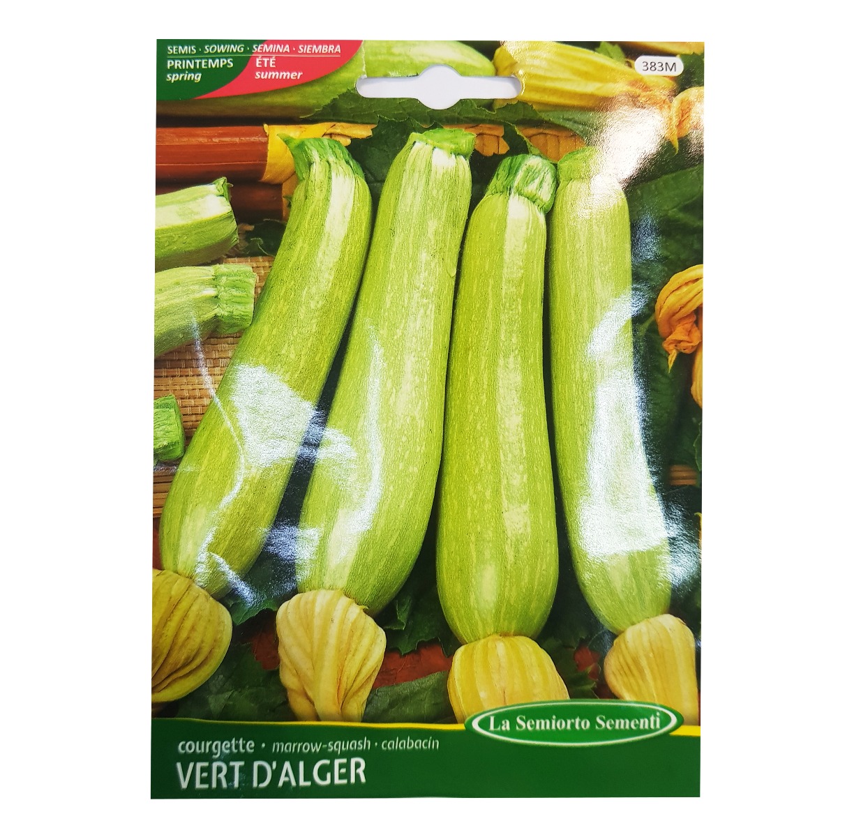 COURGETTE VERTE D'ALGER  ART 383