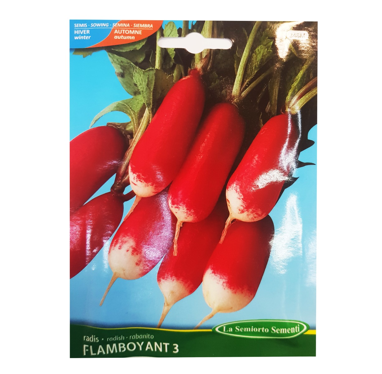 RADIS FLAMBOYANT3 SACHET DE 10 GR ART 348