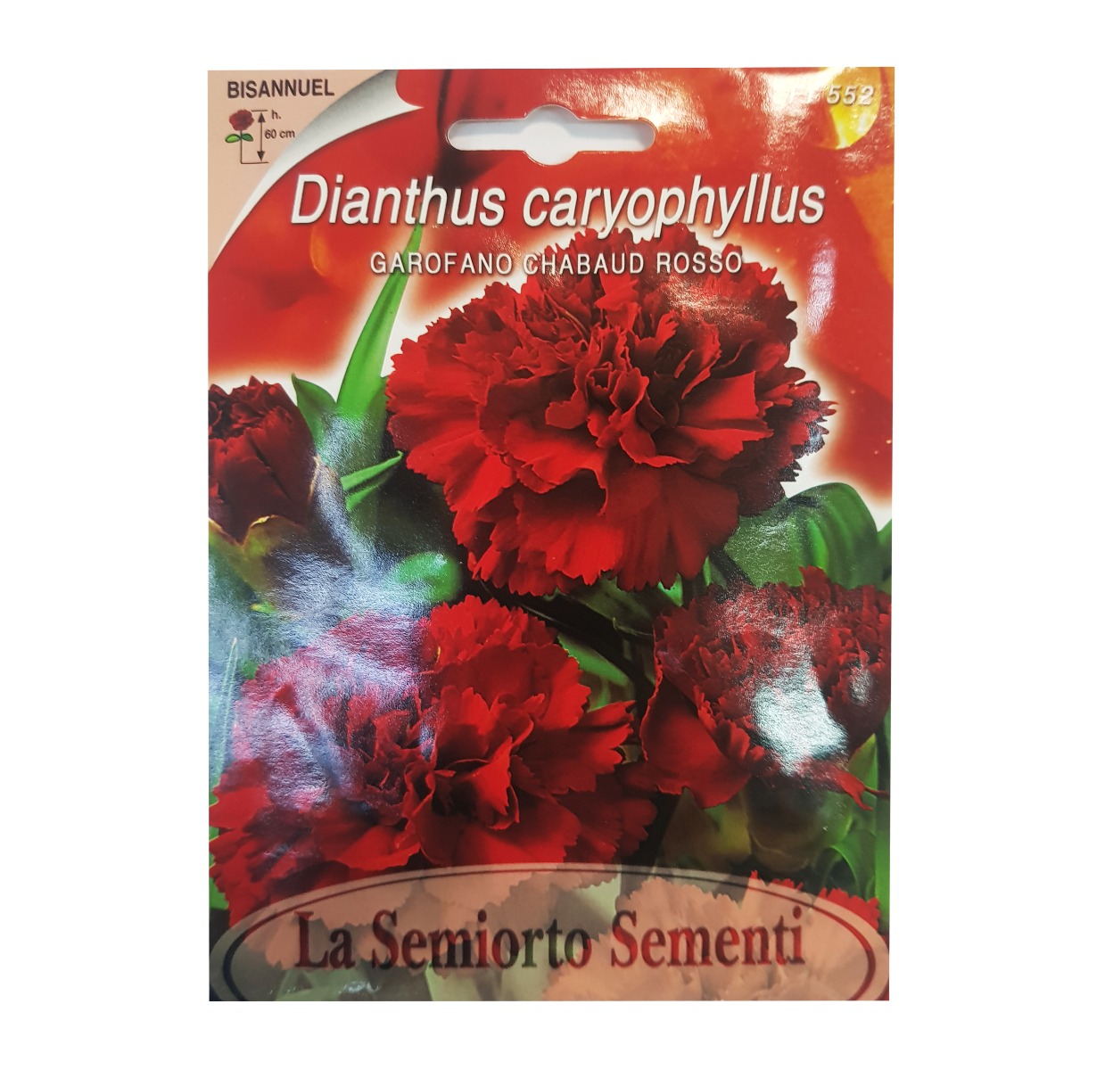 DIANTHUS CARYOPHYLLUS ROSSO (ROUGE) ART FI552-MAXIFLOR