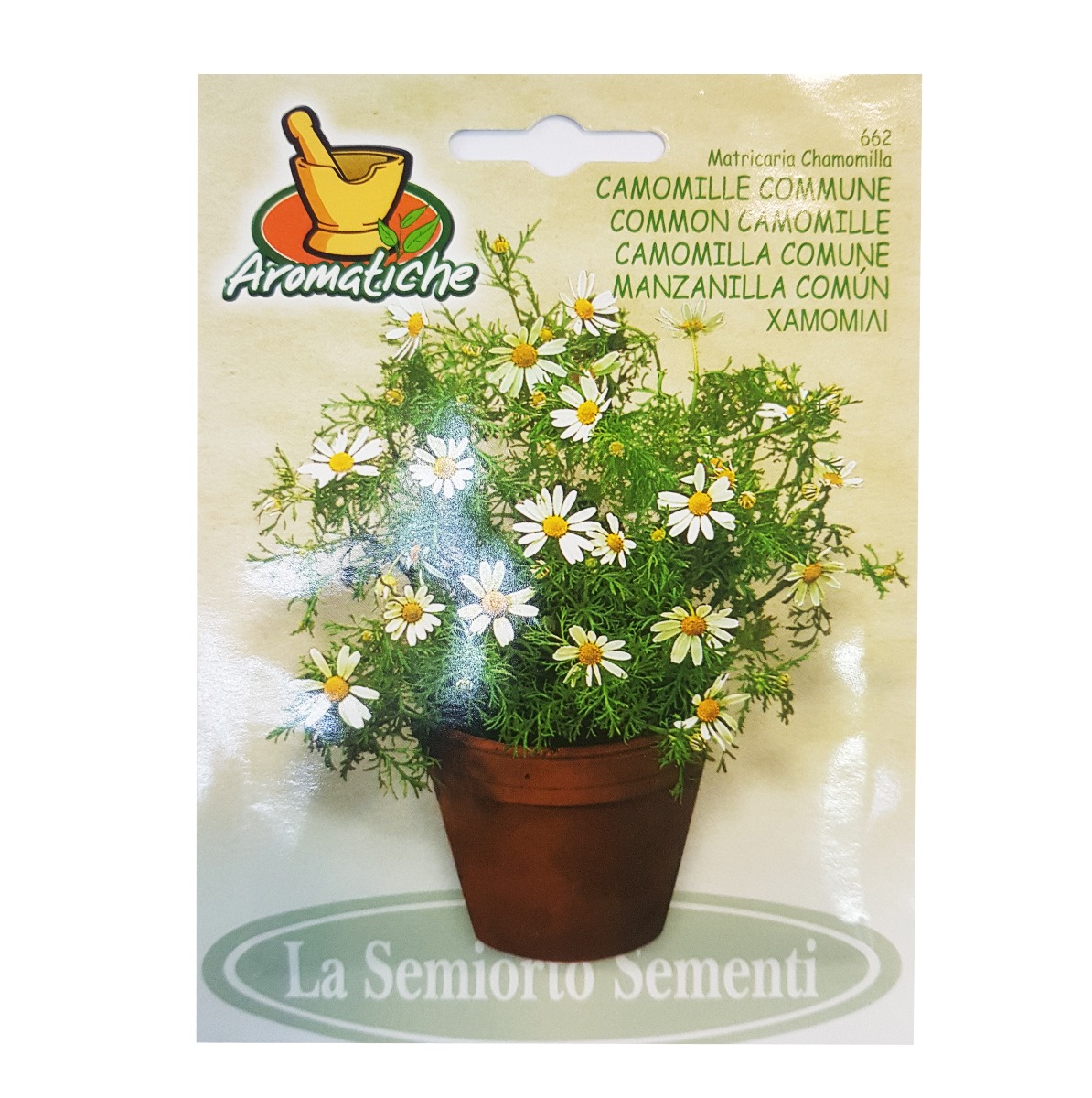 CAMOMILLE COMUNE  ART 662