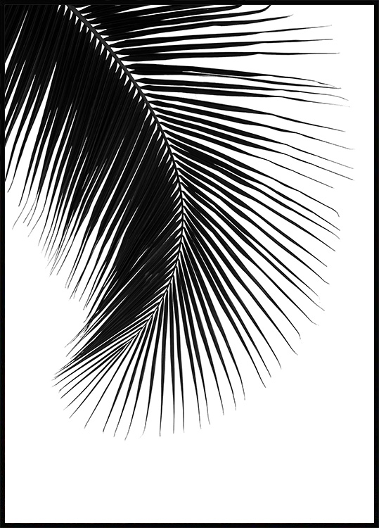 POSTER N14 feuille de palmier