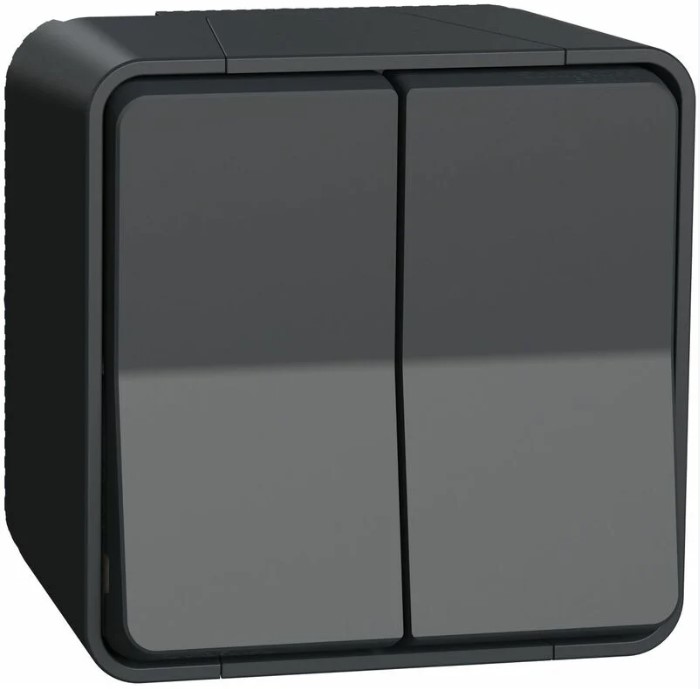 DOUBLE VA-ET-VIENT MUREVA STYL GRIS ANTHRACITE EN SAILLIE IP55 IK08