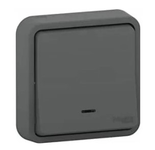 BOUTON POUSSOIR LUMINEUX MUREVA STYL GRIS ANTHRACITE ENCATSRE