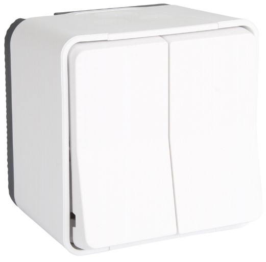 DOUBLE VA-ET-VIENT MUREVA STYL BLANC EN SAILLIE IP55 IK08
