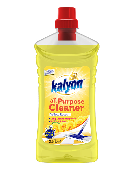 NETTOYANT SOL 2.5 L KALYON REF LC JAUNE