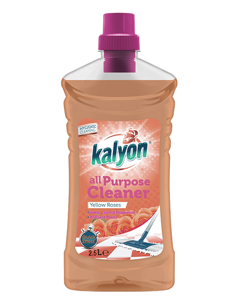 NETTOYANT SOL 2.5 L KALYON REF OUD MARRON