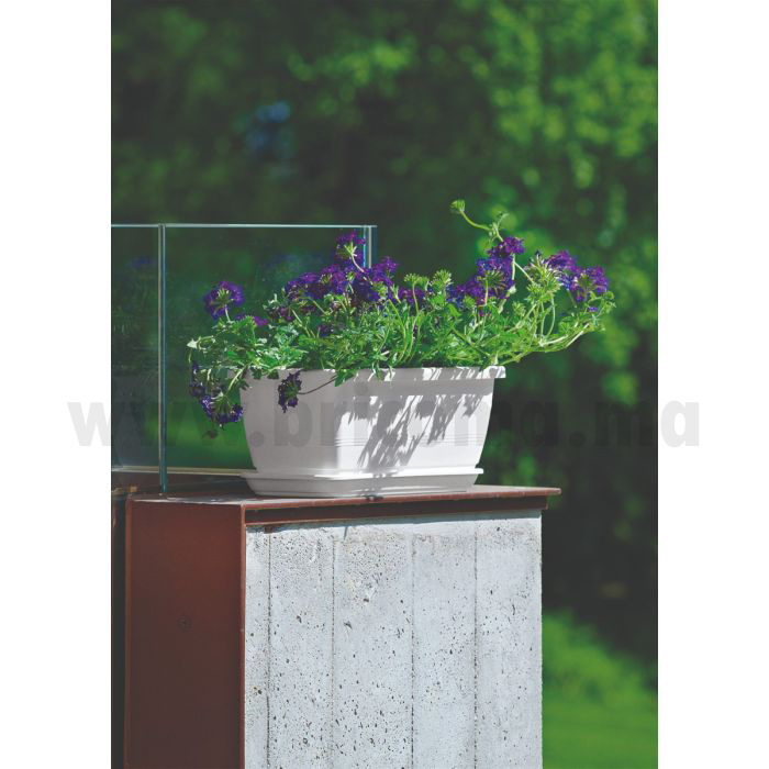 BALCONNIERE +SOUCOUPE INIS 40 CM