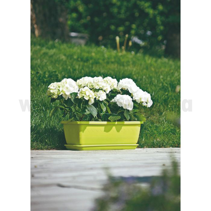 BALCONNIERE +SOUCOUPE INIS 50 CM