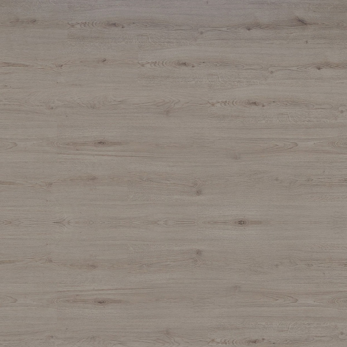 PARQUET 7MM STANDARD  CHENE TREND BLANC