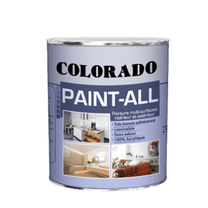 PAINT-ALL 1KG