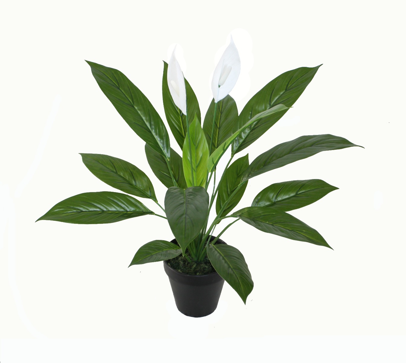 PLANTE ARTIFICIELLE SPATE FLOWER