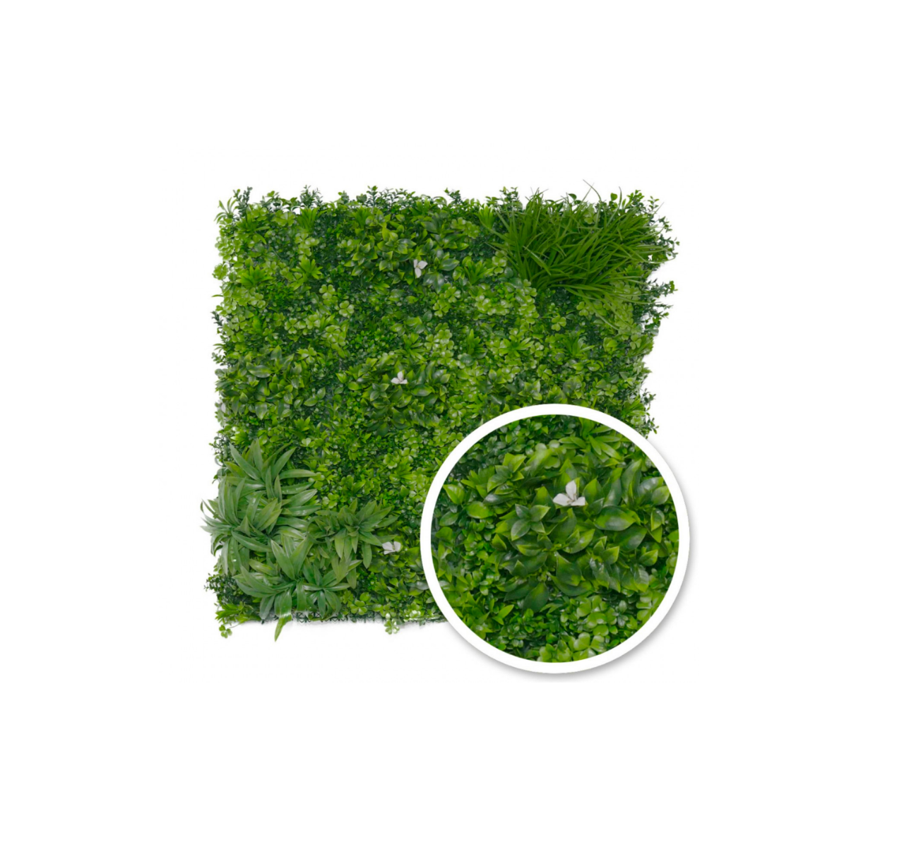 MUR VEGETAL LISERON 1x1M