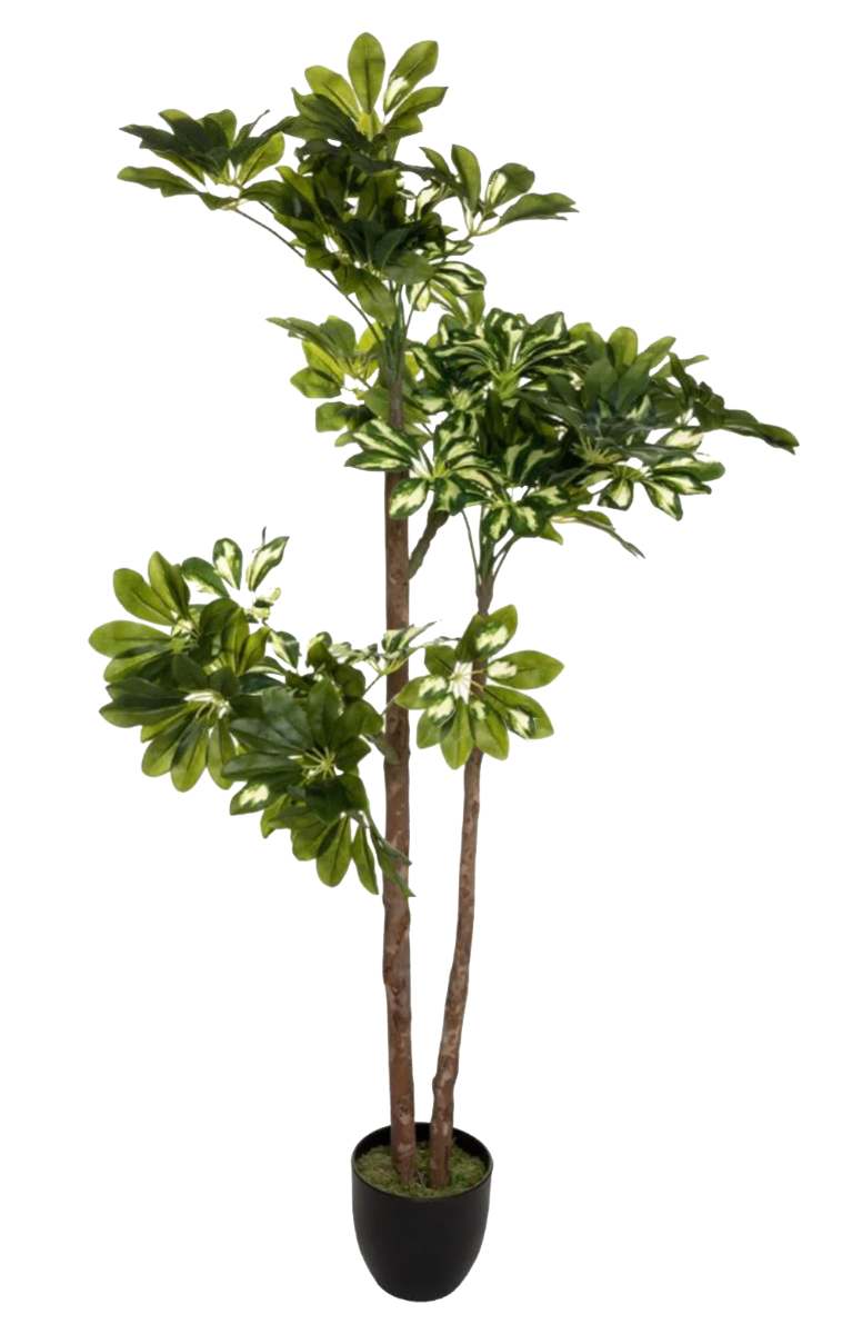 PLANTE ARTIFICIELLE  SCHEFFLERA VARIÉ 115cm