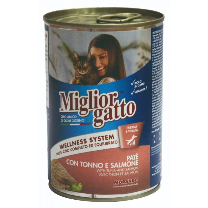 Pate Chat Saumon Morando 100 Grammes - Mr Bricolage : Bricoler