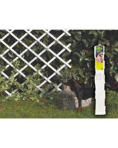 décoration jardin maroc