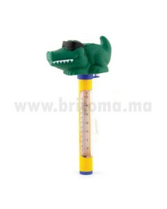 accessoires piscine
