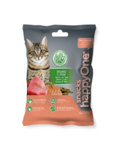 Croquettes Royal Canin