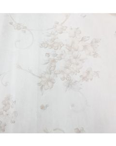 Papiers Peint 