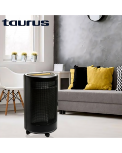 chauffage climatiseur