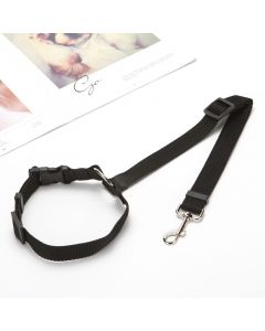 Accessoires alimentation aliments pour chiens, aliments pour animaux de compagnie