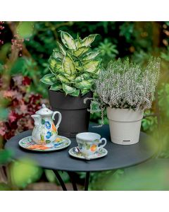 outils de jardin, pots, engrais, matériel de coupe, tondeuse à gazon, meubles extérieurs, décoration jardin, jardinage