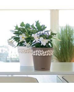 outils de jardin, pots, engrais, matériel de coupe, tondeuse à gazon, meubles extérieurs, décoration jardin, jardinage