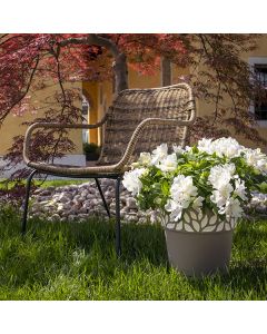 outils de jardin, pots, engrais, matériel de coupe, tondeuse à gazon, meubles extérieurs, décoration jardin, jardinage