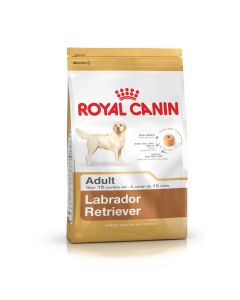 Croquettes Royal Canin