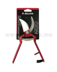 outils de jardinage
