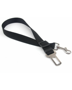 Accessoires alimentation aliments pour chiens, aliments pour animaux de compagnie