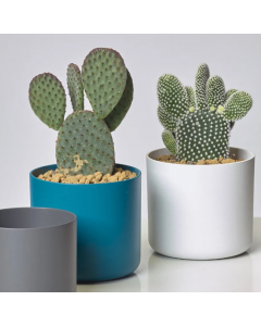 outils de jardin, pots, engrais, matériel de coupe, tondeuse à gazon, meubles extérieurs, décoration jardin, jardinage