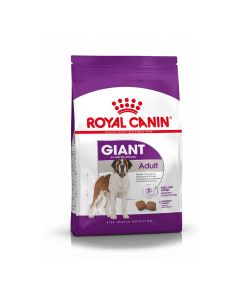 Croquettes Royal Canin