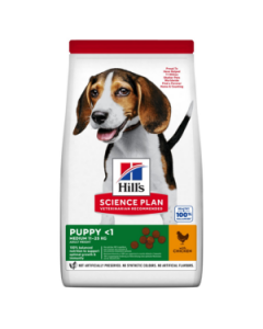 Croquettes Royal Canin