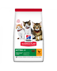 Accessoires alimentation aliments pour chiens, aliments pour animaux de compagnie