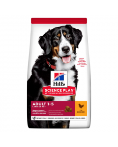 Accessoires alimentation aliments pour chiens, aliments pour animaux de compagnie