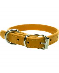 Accessoires alimentation aliments pour chiens, aliments pour animaux de compagnie