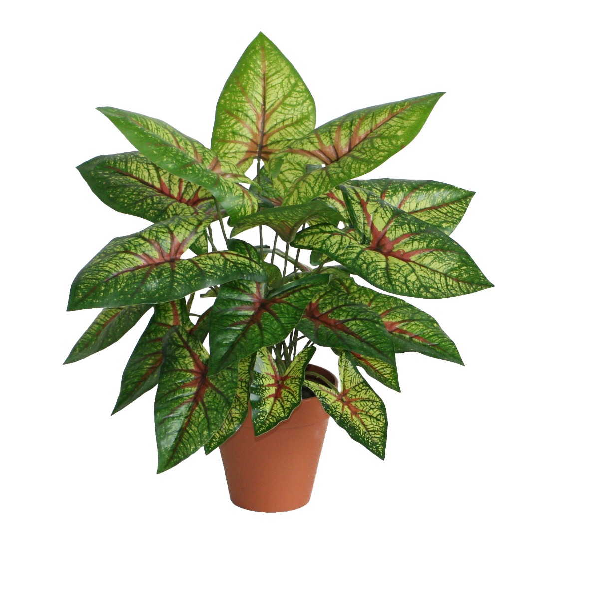 PLANTE ARTIFICIELLE CALADIUM