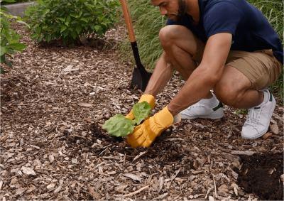 Astuces pour entretenir son espace vert pendant la saison froide !